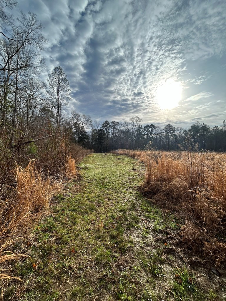 0 Mose Hilliard Road Sontag, MS 39665 - Photo 18 of 22 Photo 18