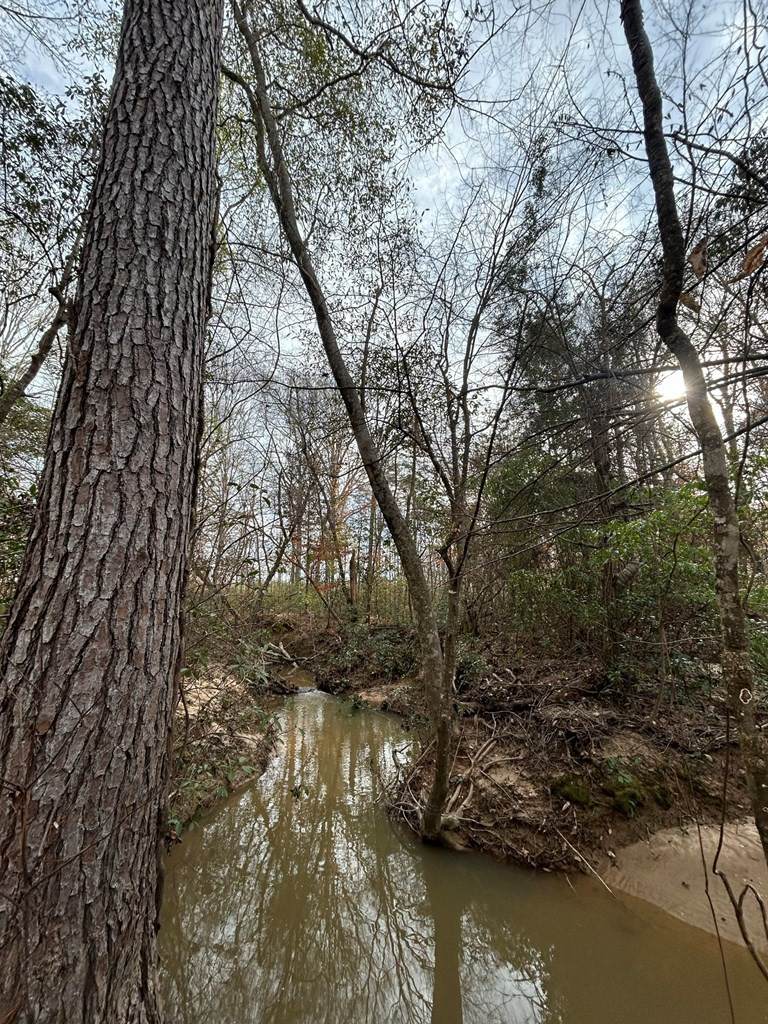 0 Mose Hilliard Road Sontag, MS 39665 - Photo 3 of 22 Photo 3