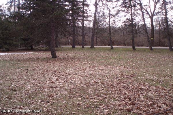 334 Beaver Valley Road Stroudsburg, PA 18360 - Photo 2 of 12 Front Yard