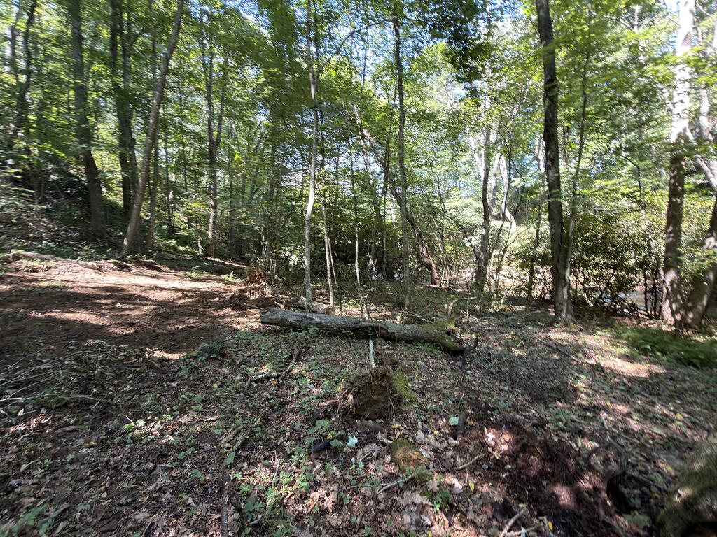 Tbd Baltimore Road Hillsville, VA 24343 - Photo 35 of 50 Gallery Image 35