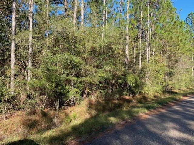 0 Philip Smith Road Lacombe, LA 70445 - Photo 1 of 3 Gallery Image 1
