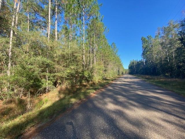0 Philip Smith Road Lacombe, LA 70445 - Photo 2 of 3 Gallery Image 2