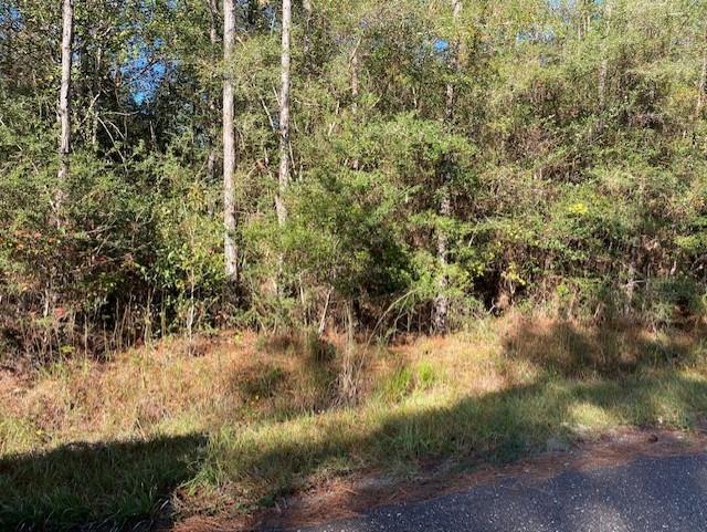 0 Philip Smith Road Lacombe, LA 70445 - Photo 3 of 3 Gallery Image 3