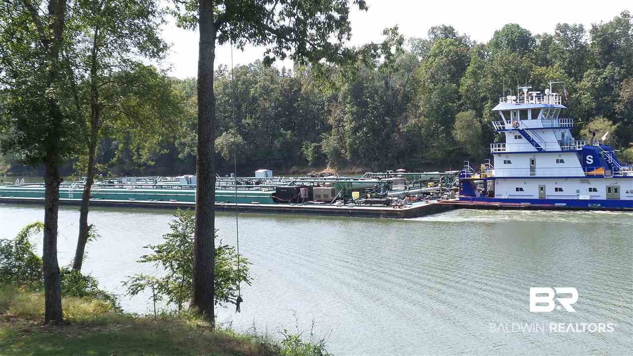 21 Jimmie Phillips Road Sawyerville, AL 36776 - Photo 12 of 41