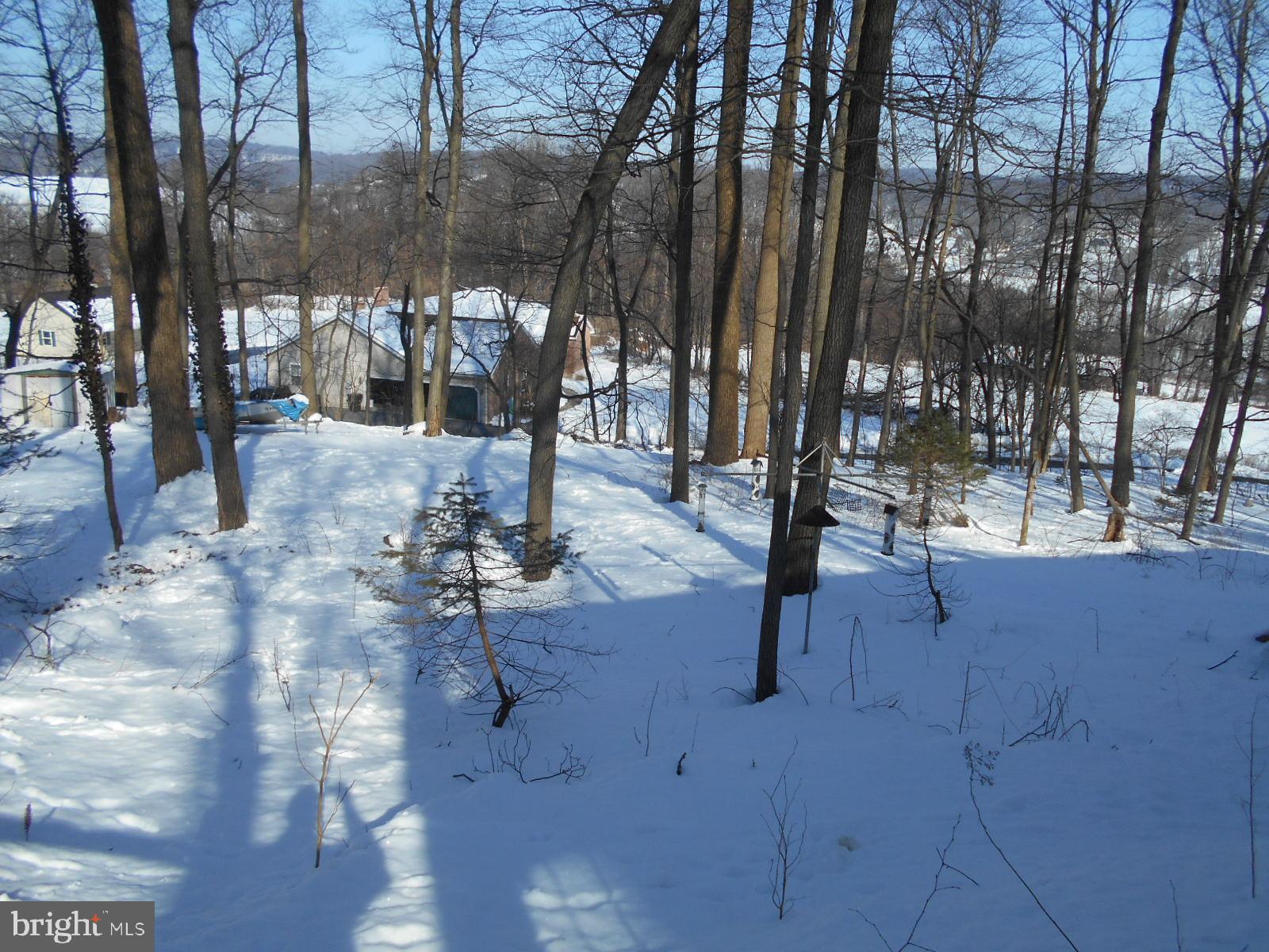 452 Basket Road Oley, PA 19547 - Photo 7 of 25 Rear Yard