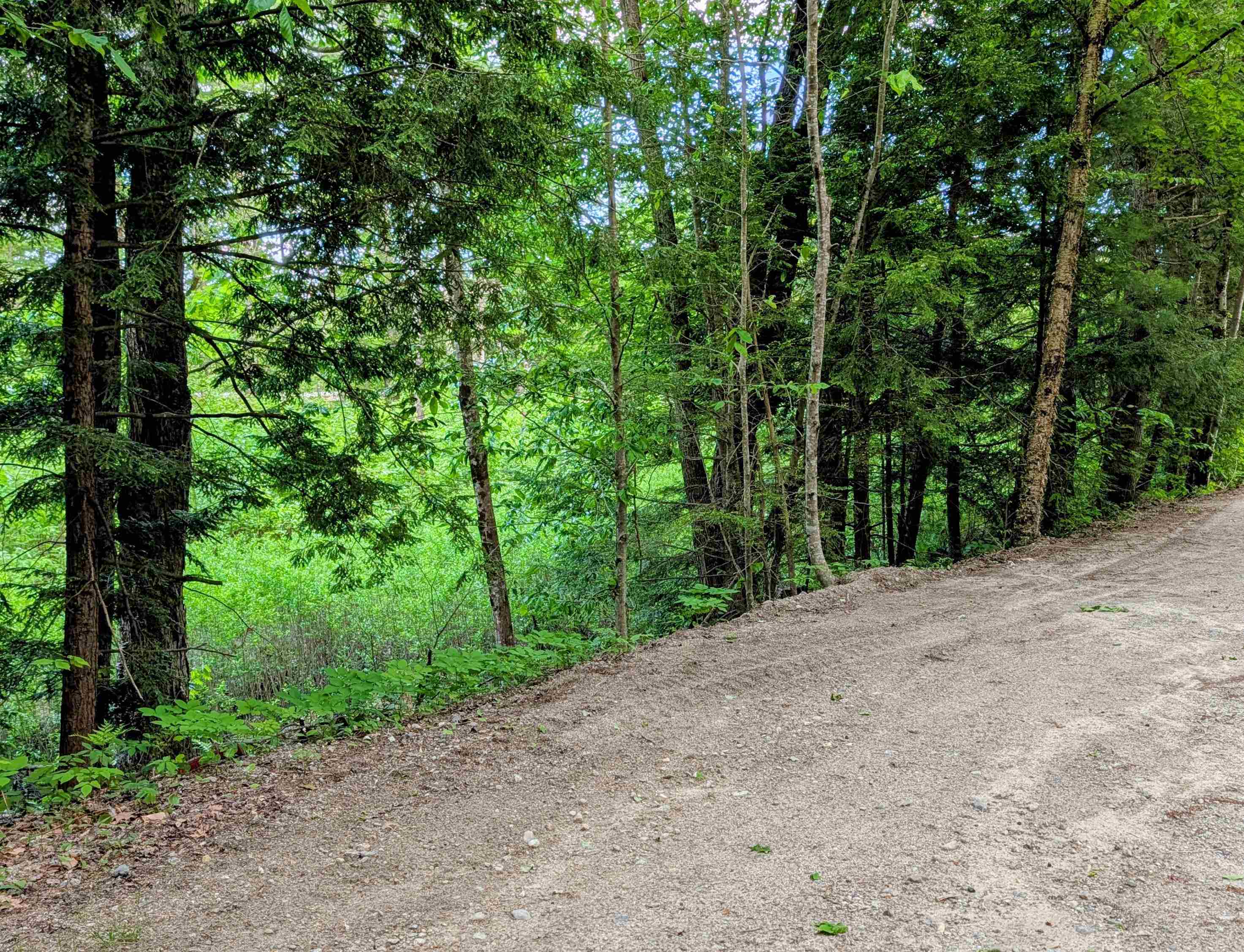 0 Access Road Sanbornville, NH 03872 - Photo 1 of 4