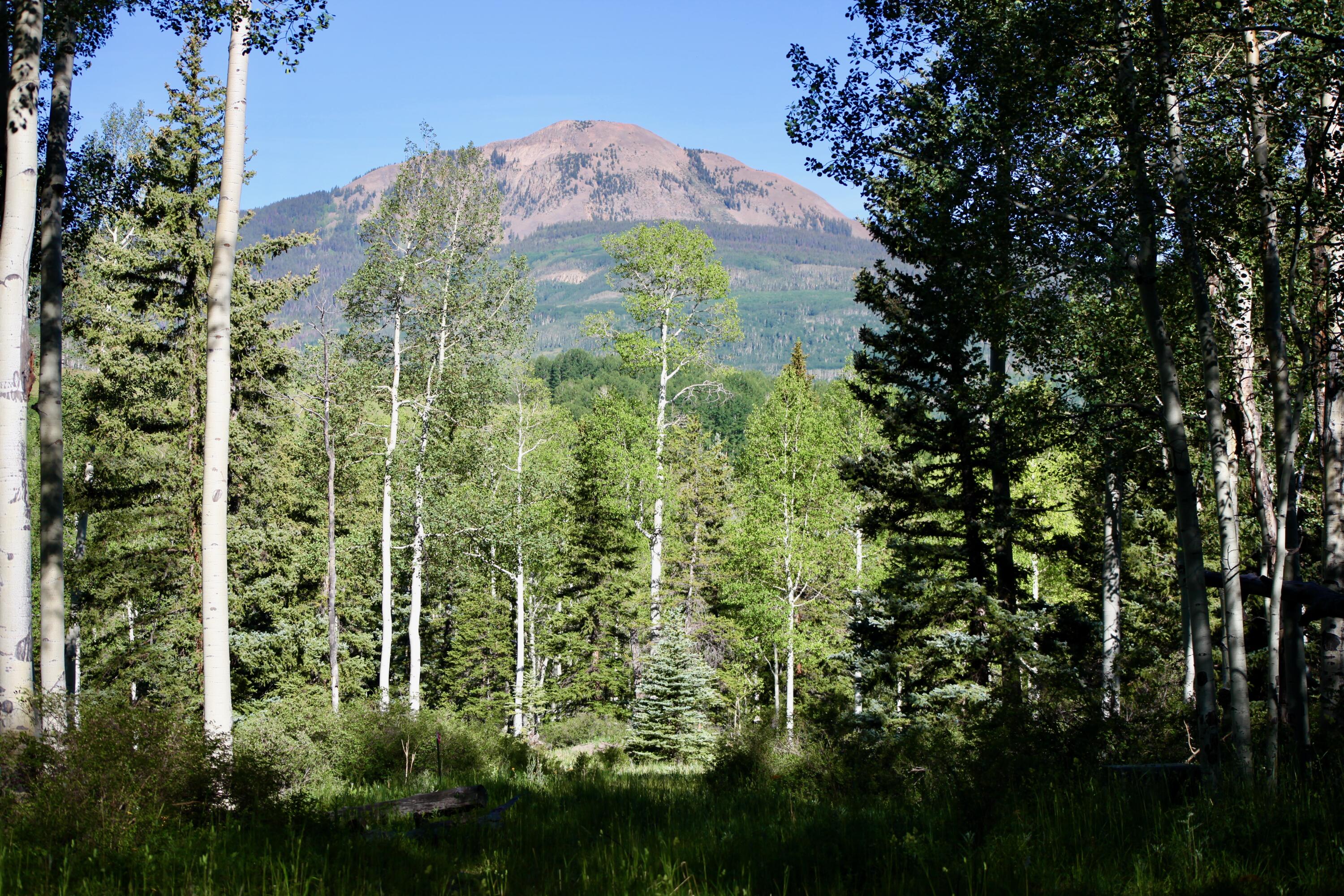 81 Waggoner Road Placerville, CO 81430 - Photo 1 of 18 Lot 66 Wilson Mesa Ranch