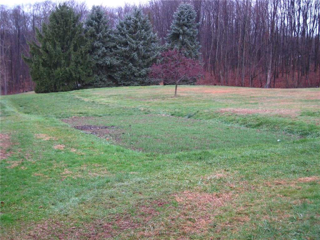 563 Engle Road Ohioville, PA 15052 - Photo 22 of 25 Garden behind 2-car detached garage
