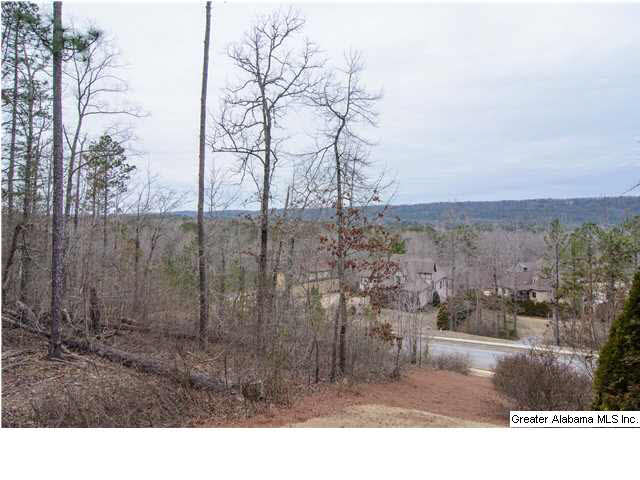 220 Normandy Lane Chelsea, AL 35043 - Photo 31 of 32