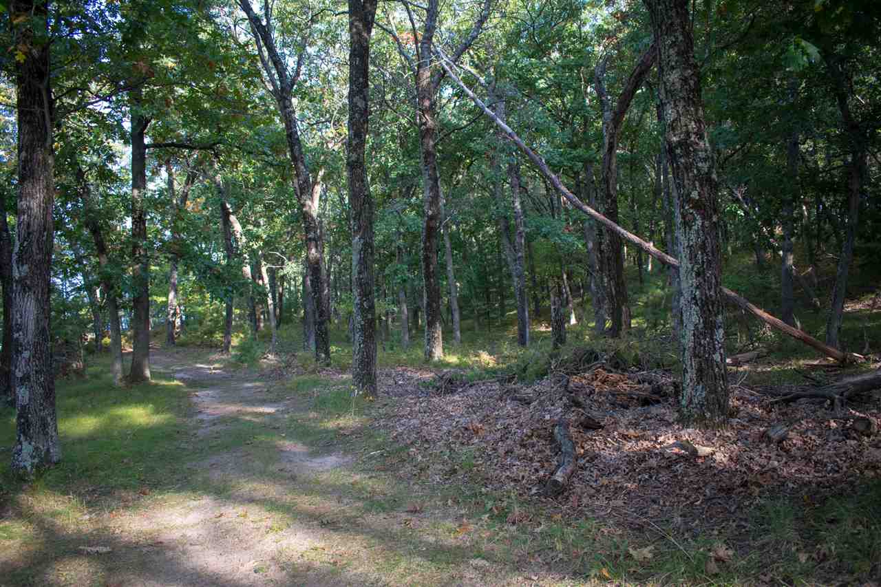 N7137 Timber Rdg Lane New Lisbon, WI 53950 - Photo 9 of 13