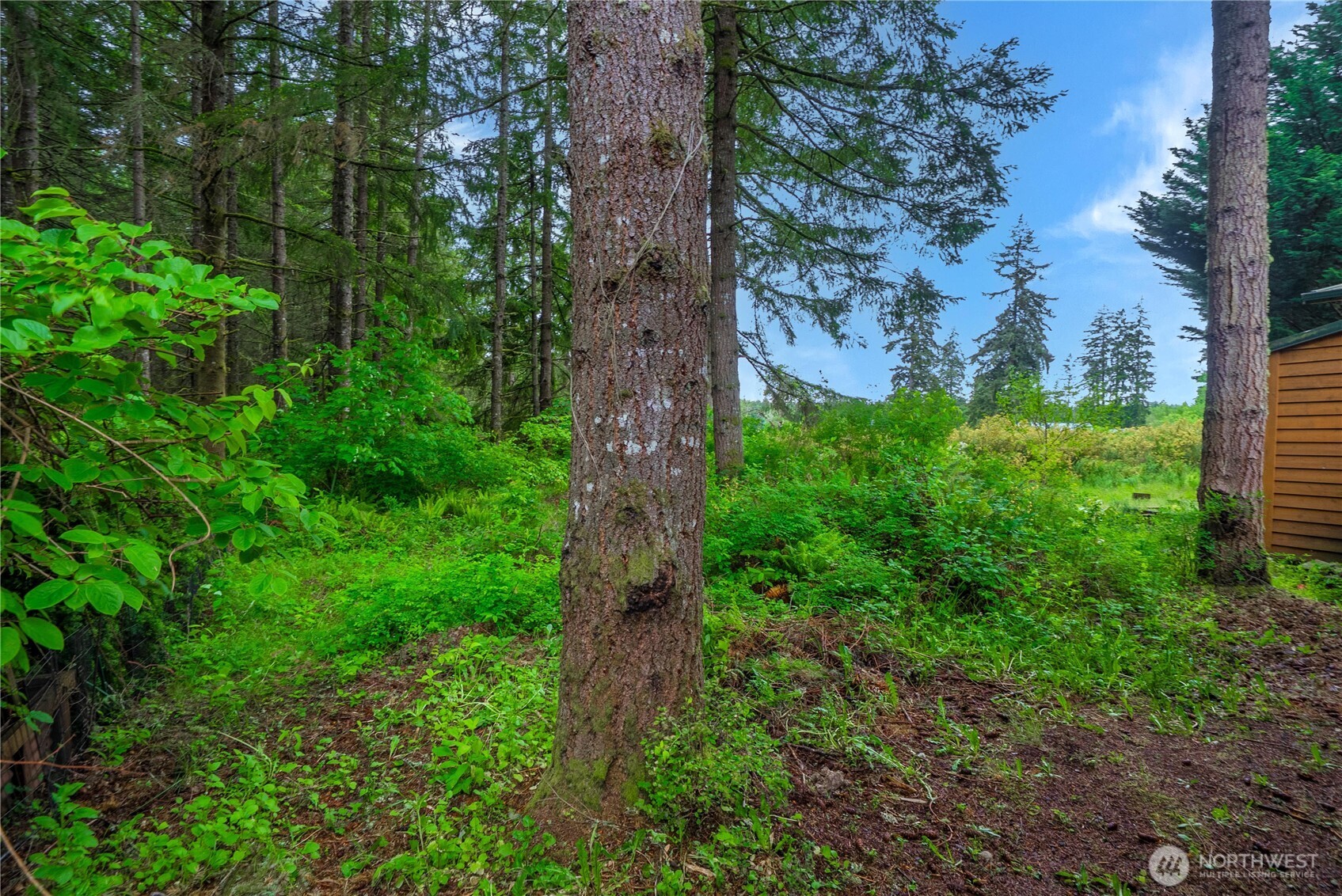 1546 Reservation Road Southeast, Unit 149 Olympia, WA 98513 - Photo 36 of 38 a view of a garden