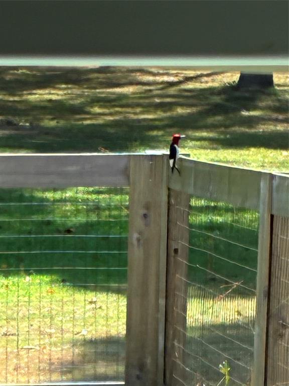 145 Crouch Road Benton, LA 71006 - Photo 40 of 40 Red headed woodpecker visits on the back fence