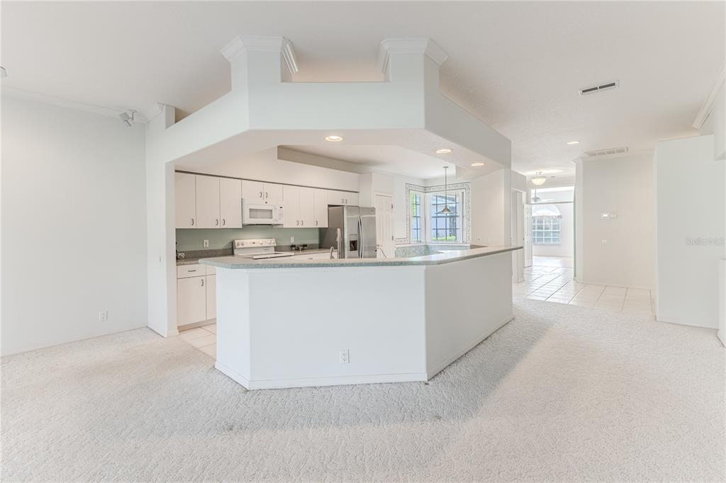 15033 Middle Fairway Drive Spring Hill, FL 34609 - Photo 29 of 57