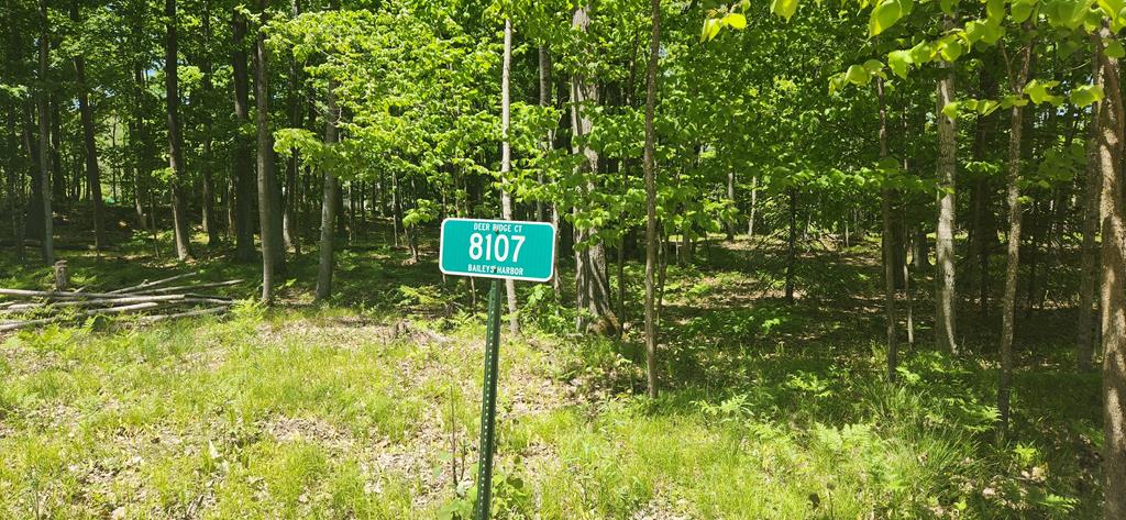 8107 Deer Ridge Baileys Harbor, WI 54202 - Photo 1 of 13