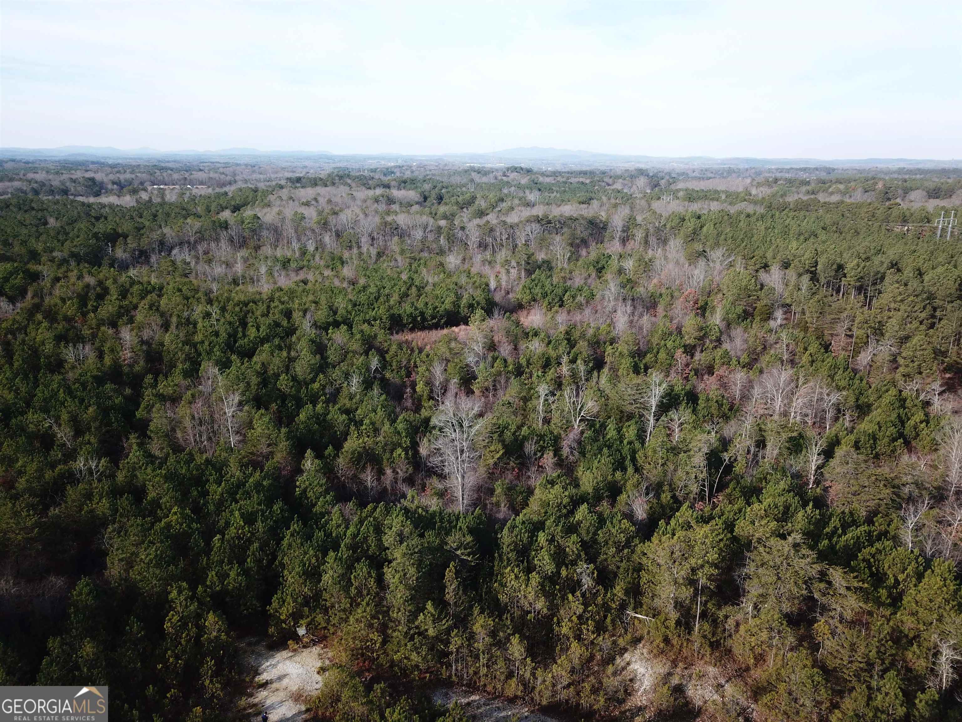 0 Kelly Road Cedartown, GA 30125 - Photo 1 of 1 Gallery Image 1