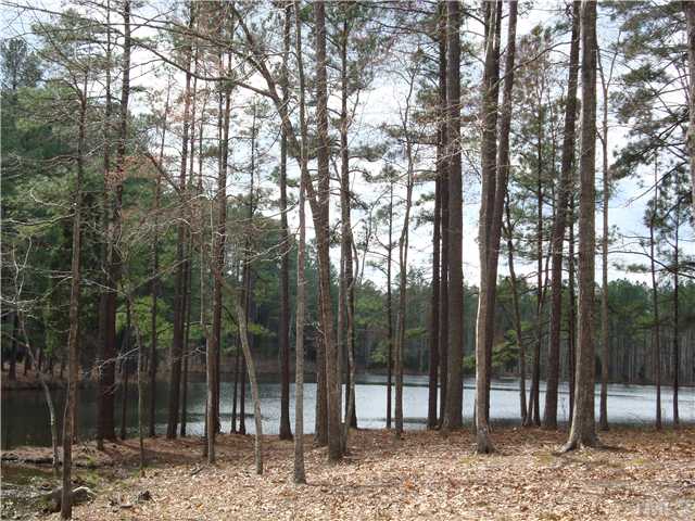 7000 Potomac Court Raleigh, NC 27613 - Photo 17 of 18 a view of outdoor space with lots of trees