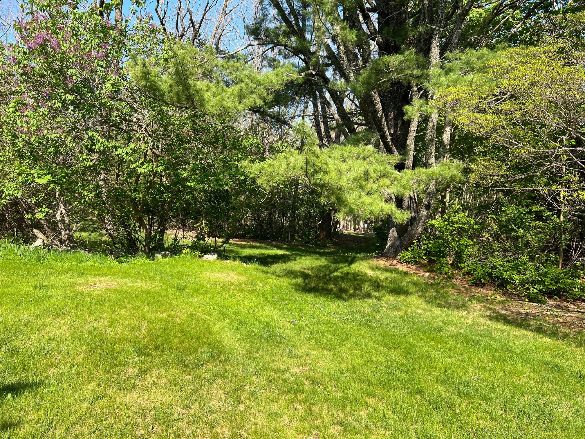 2 Lookout Point Road Bar Harbor, ME 04609 - Photo 8 of 78 Yard4