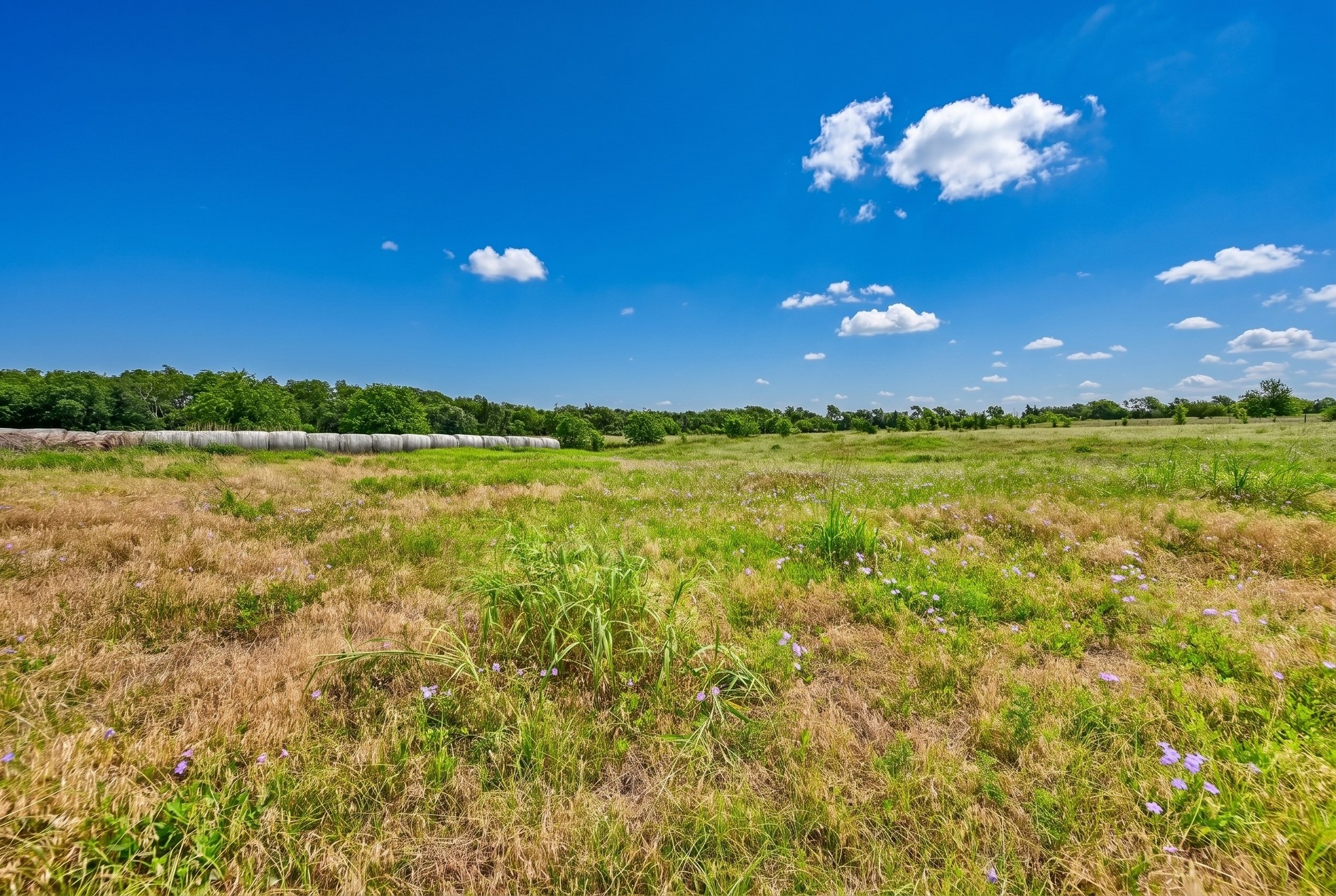11234 North Loop Road Brenham, TX 77833 - Photo 46 of 50
