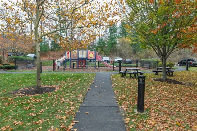 a view of a park with large trees