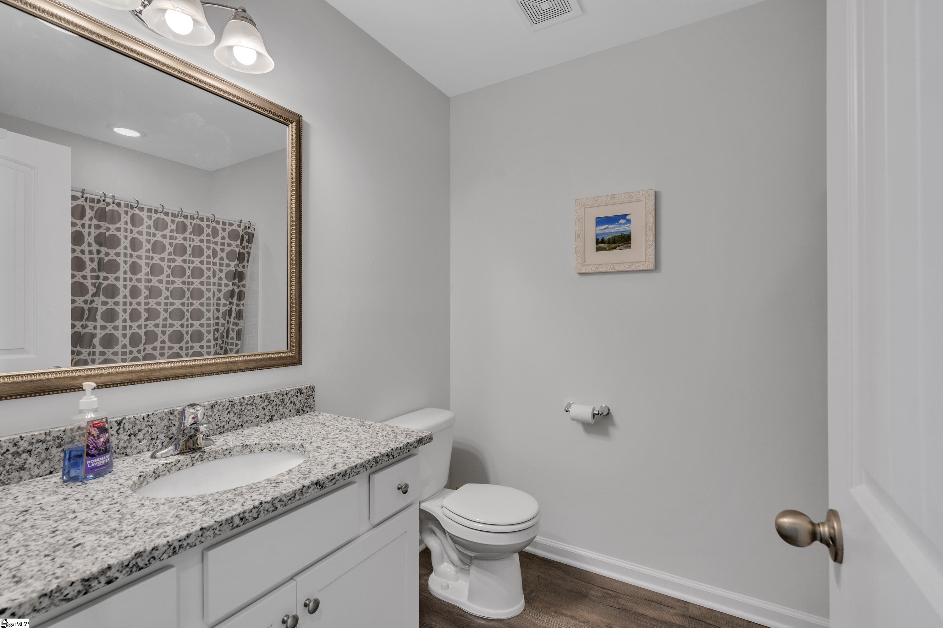 429 Icebow Road Fountain Inn, SC 29644 - Photo 11 of 19