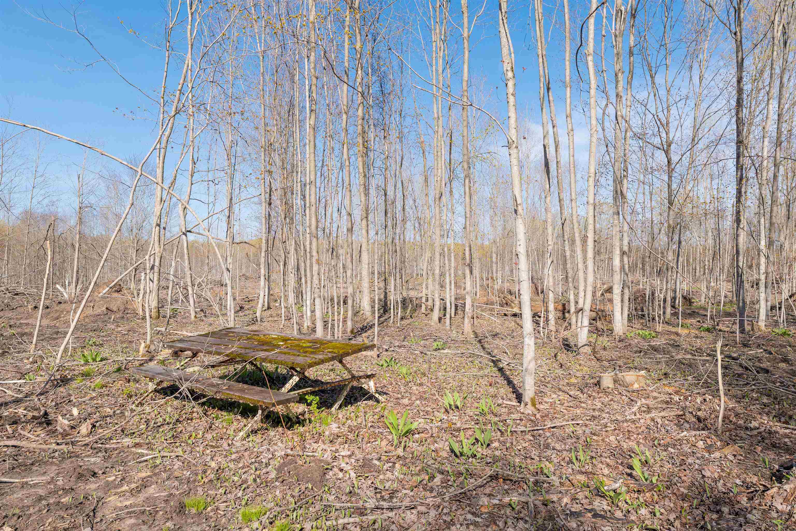 9808-9784 Southeast Crouch Road Fife Lake, MI 49633 - Photo 20 of 25