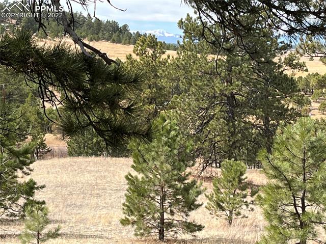 15720 Hopper Road Peyton, CO 80831 - Photo 47 of 49