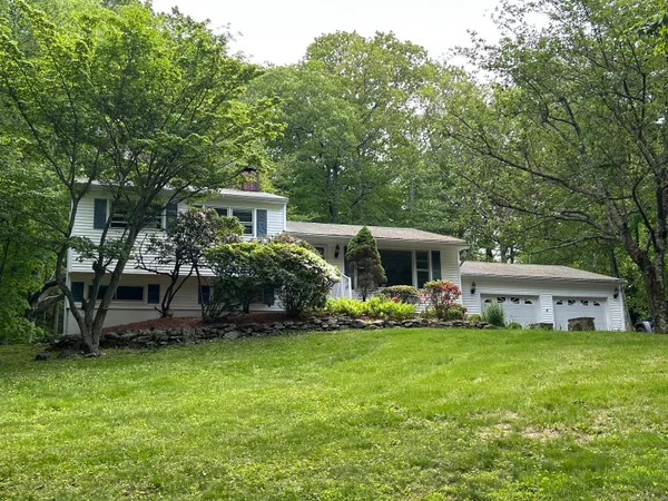 a front view of house with yard and green space