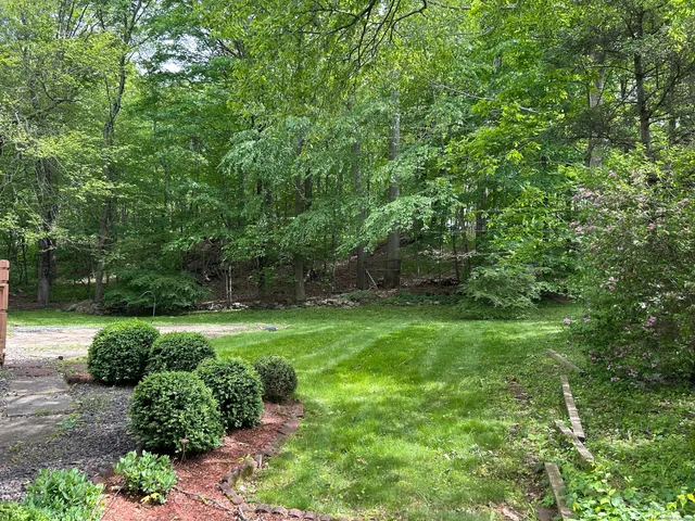 a view of backyard with green space