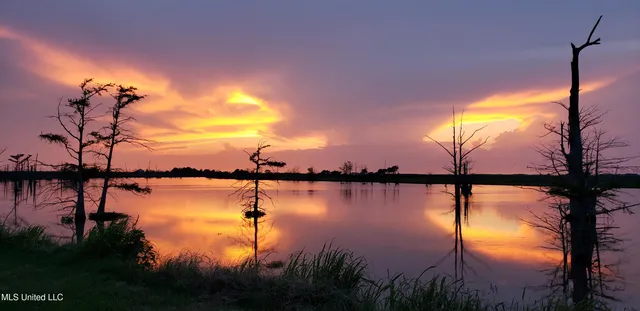 $299,000 | 2422 Outside Horseshoe Road, Tchula, MS 39169