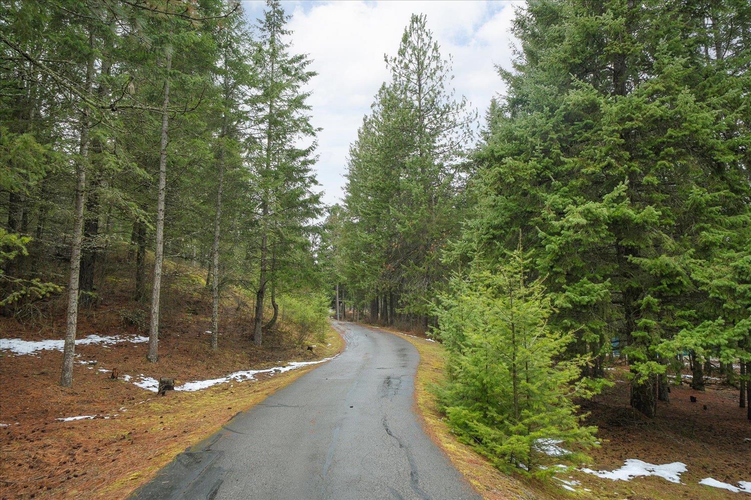 23216 East Morris Road Newman Lake, WA 99025 - Photo 28 of 50