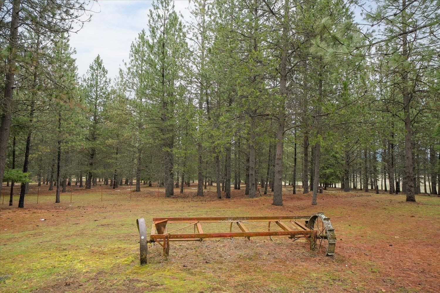 23216 East Morris Road Newman Lake, WA 99025 - Photo 50 of 50