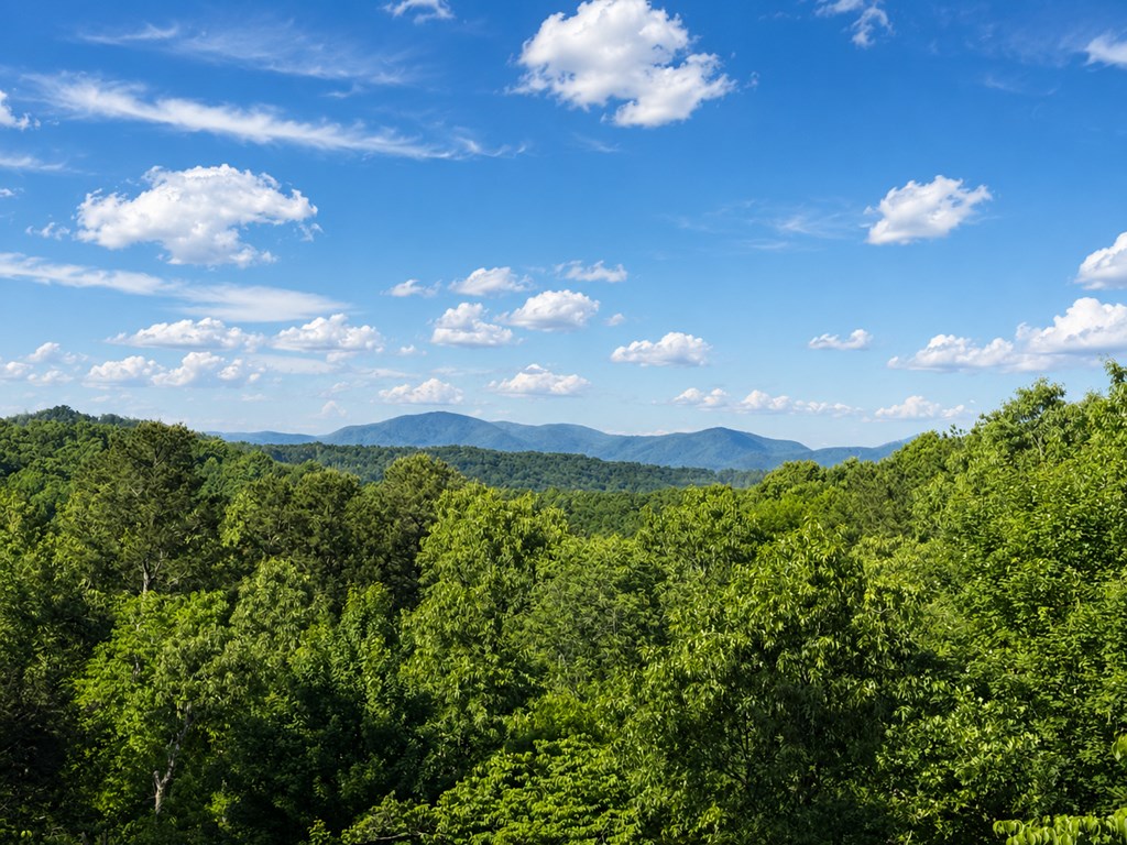 128 Ridge Brook Drive Morganton, GA 30560 - Photo 65 of 72