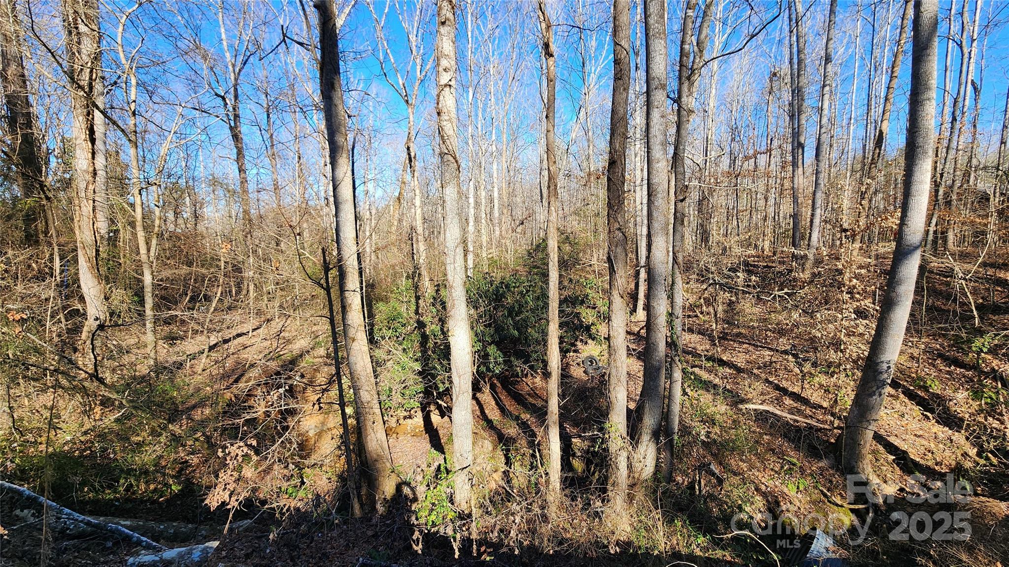 4233 Ralph Patton Road Morganton, NC 28655 - Photo 36 of 36