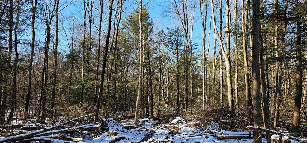 Lot 81 4 County Rd 114  