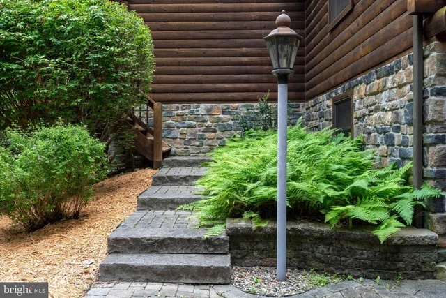 a view of a backyard with plants