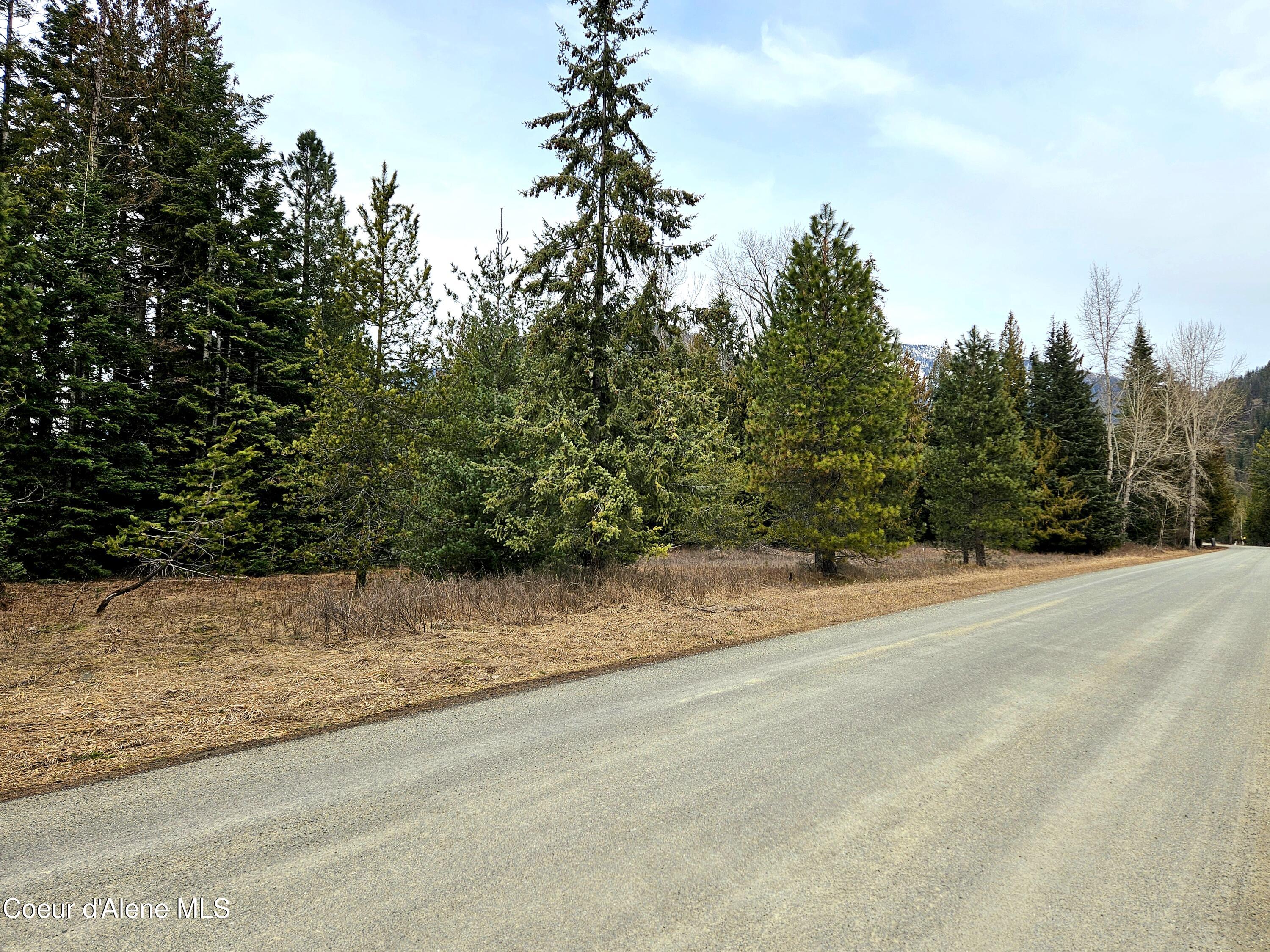 Nna Lightning Creek Road Clark Fork, ID 83811 - Photo 20 of 44 21