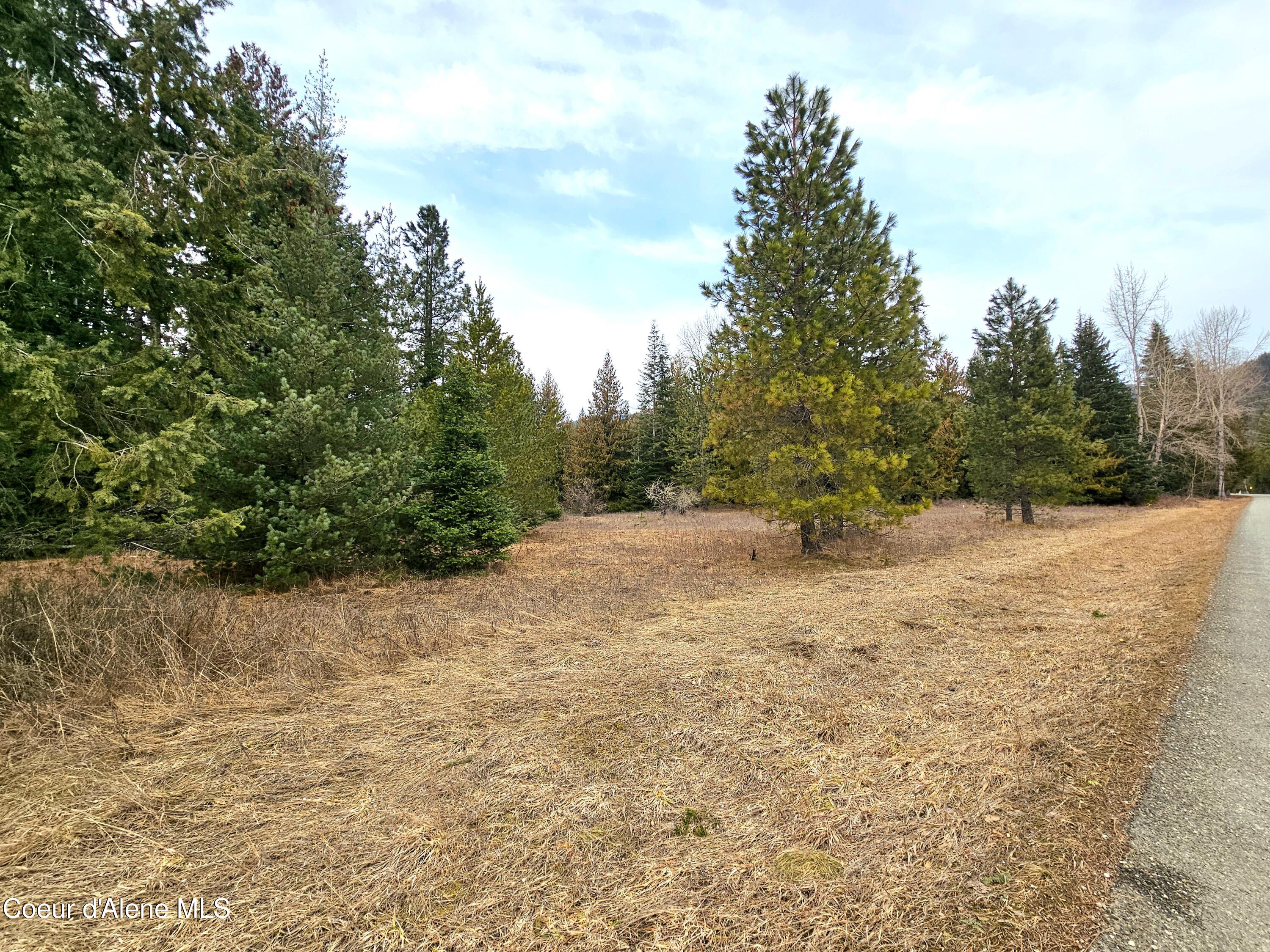 Nna Lightning Creek Road Clark Fork, ID 83811 - Photo 21 of 44 22