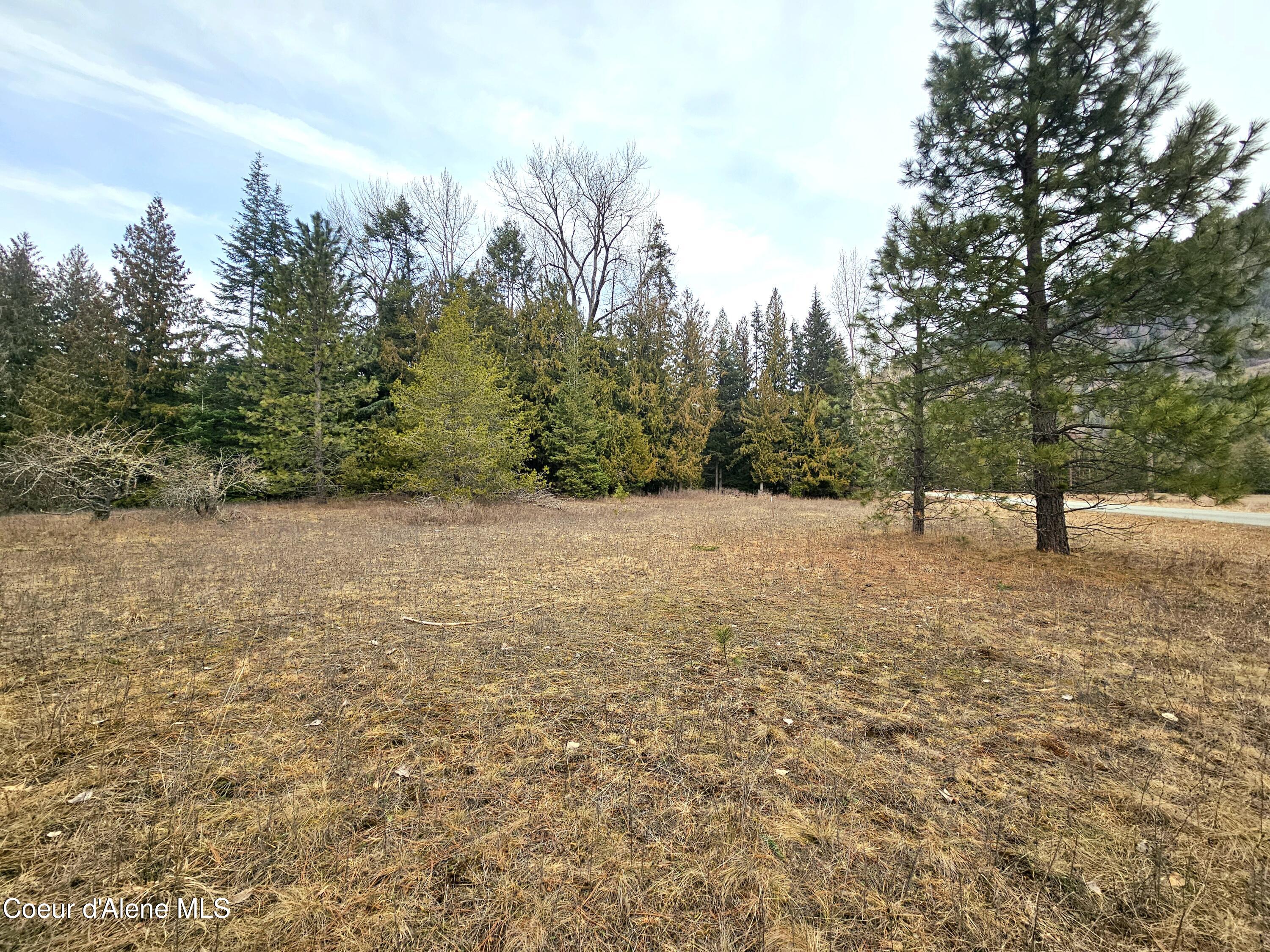 Nna Lightning Creek Road Clark Fork, ID 83811 - Photo 23 of 44 24
