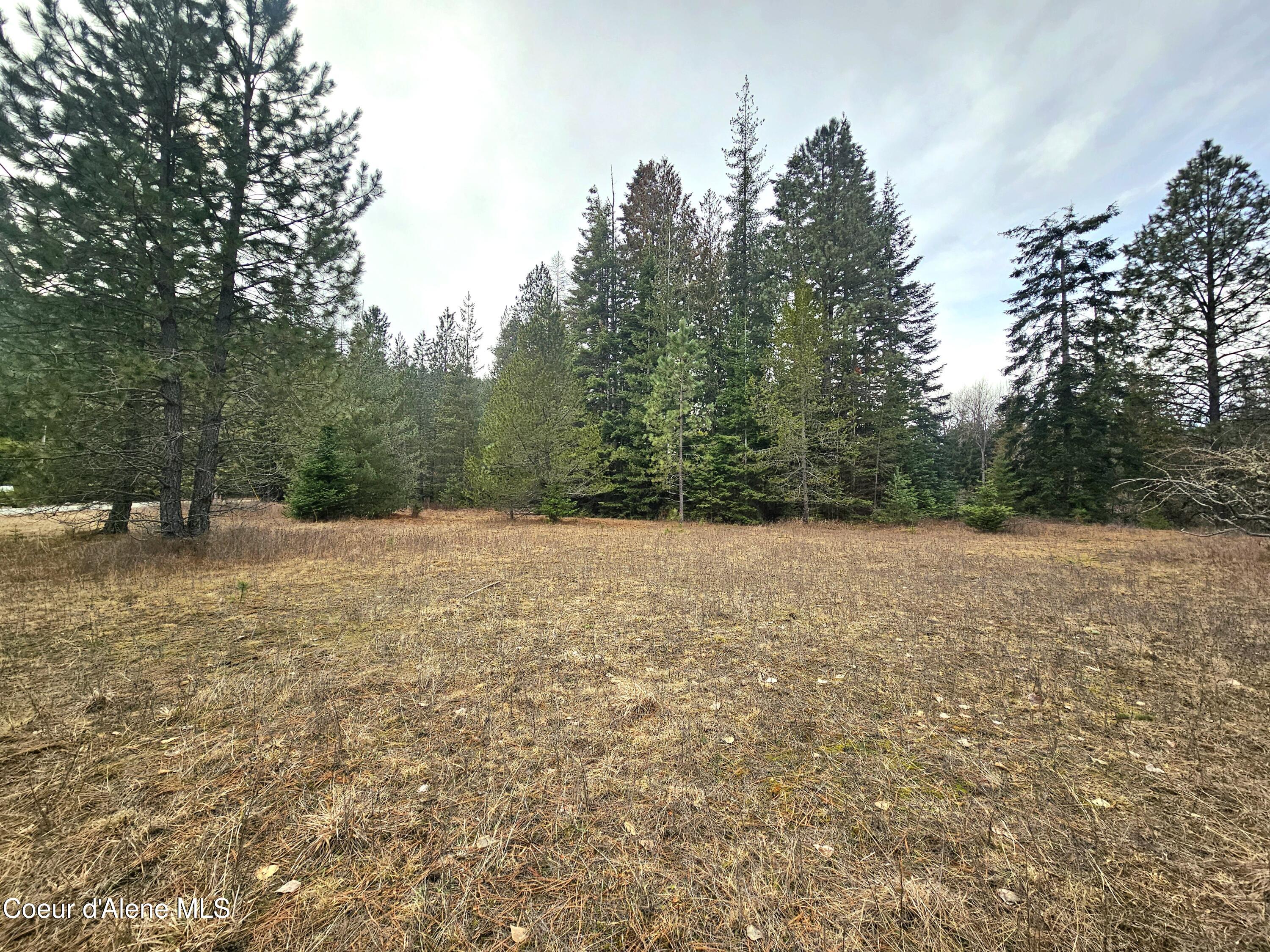 Nna Lightning Creek Road Clark Fork, ID 83811 - Photo 24 of 44 25