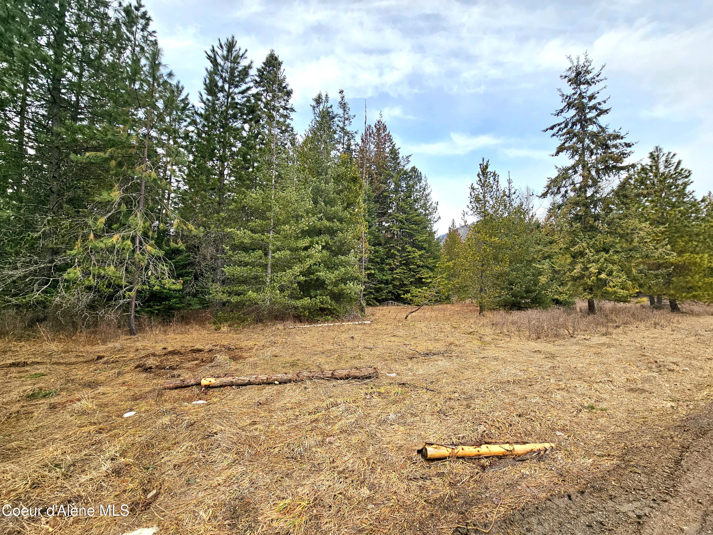 Nna Lightning Creek Road Clark Fork, ID 83811 - Photo 25 of 44 26