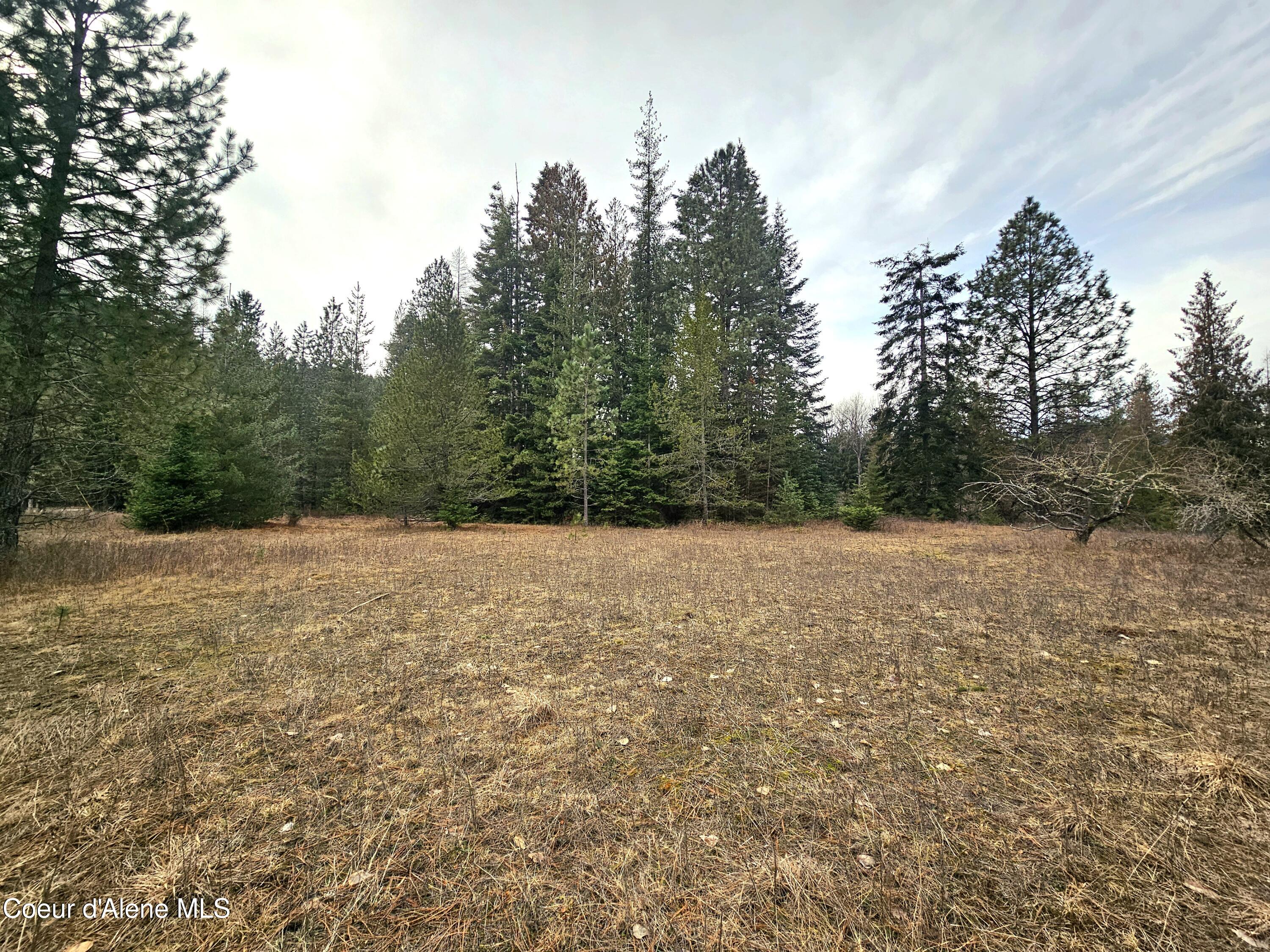 Nna Lightning Creek Road Clark Fork, ID 83811 - Photo 26 of 44 27