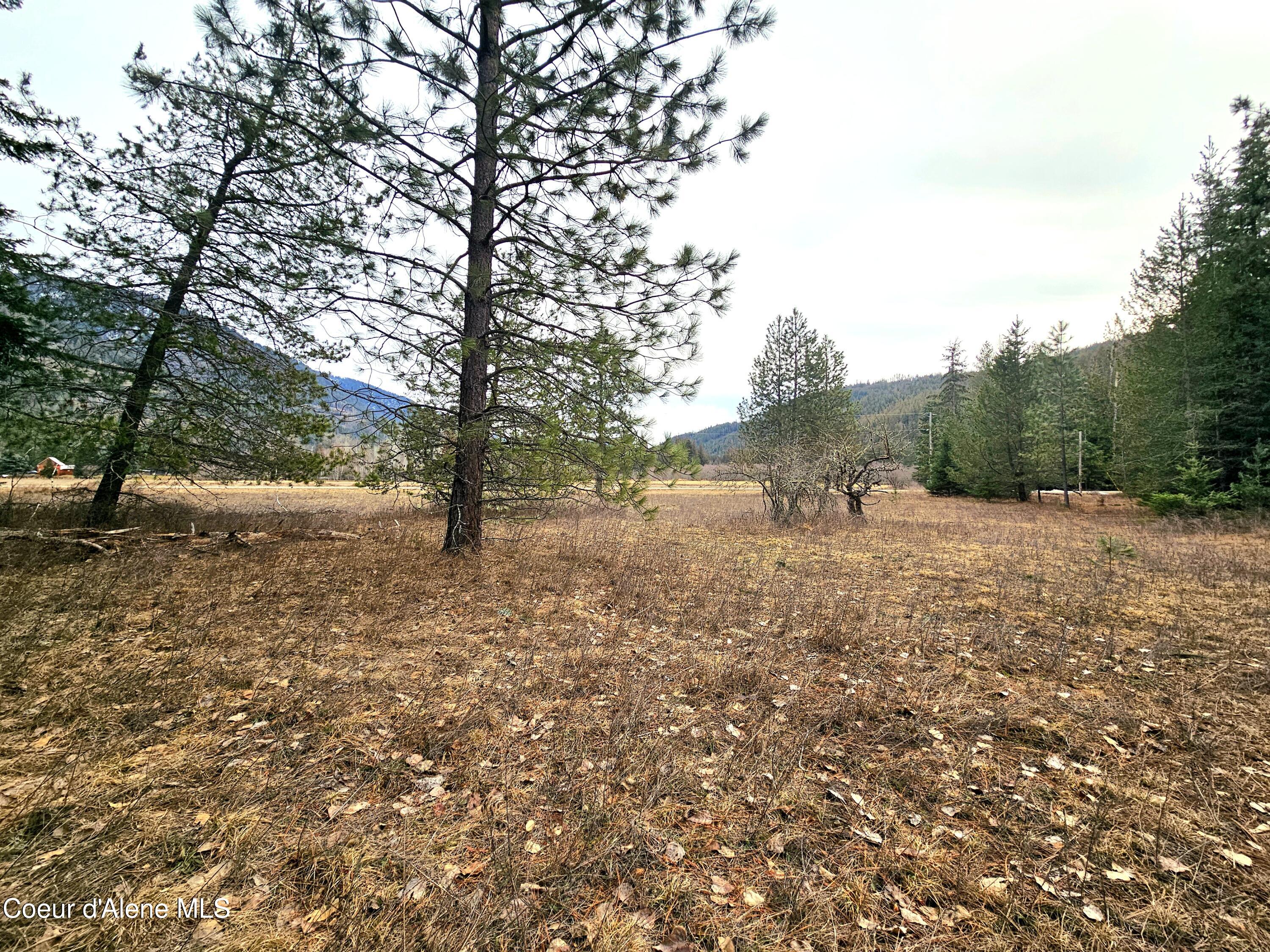 Nna Lightning Creek Road Clark Fork, ID 83811 - Photo 27 of 44 28