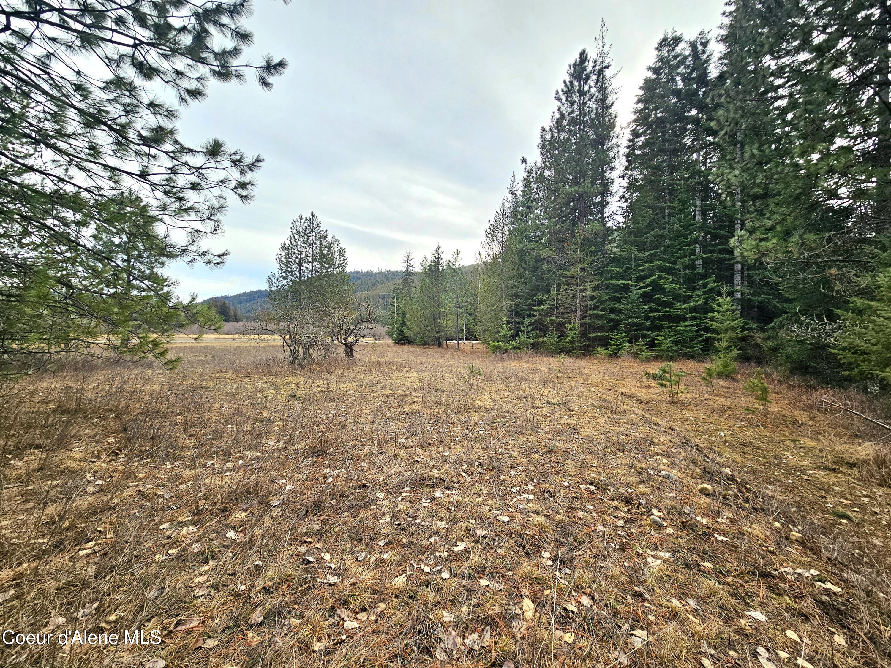 Nna Lightning Creek Road Clark Fork, ID 83811 - Photo 28 of 44 29