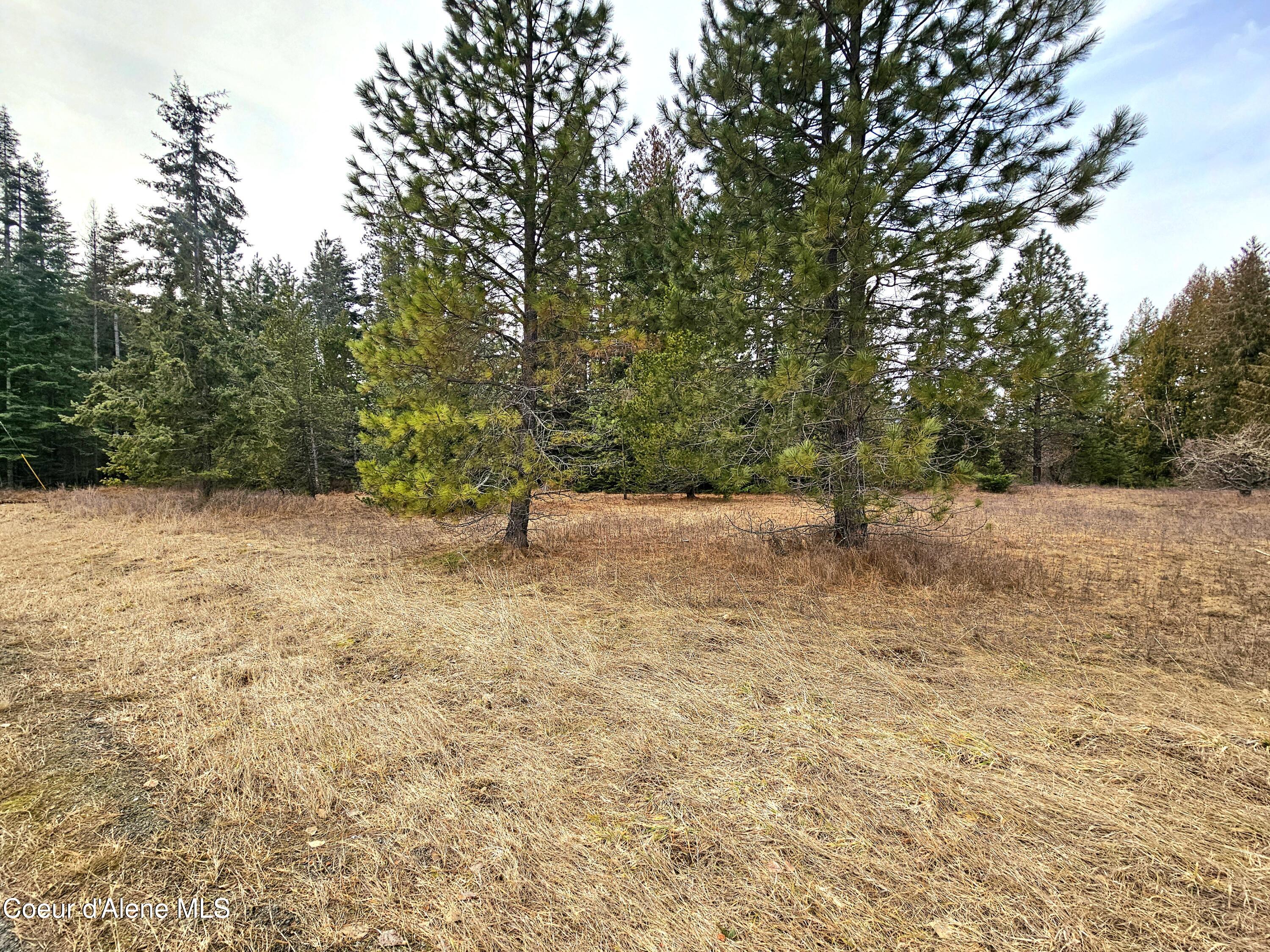 Nna Lightning Creek Road Clark Fork, ID 83811 - Photo 30 of 44 31