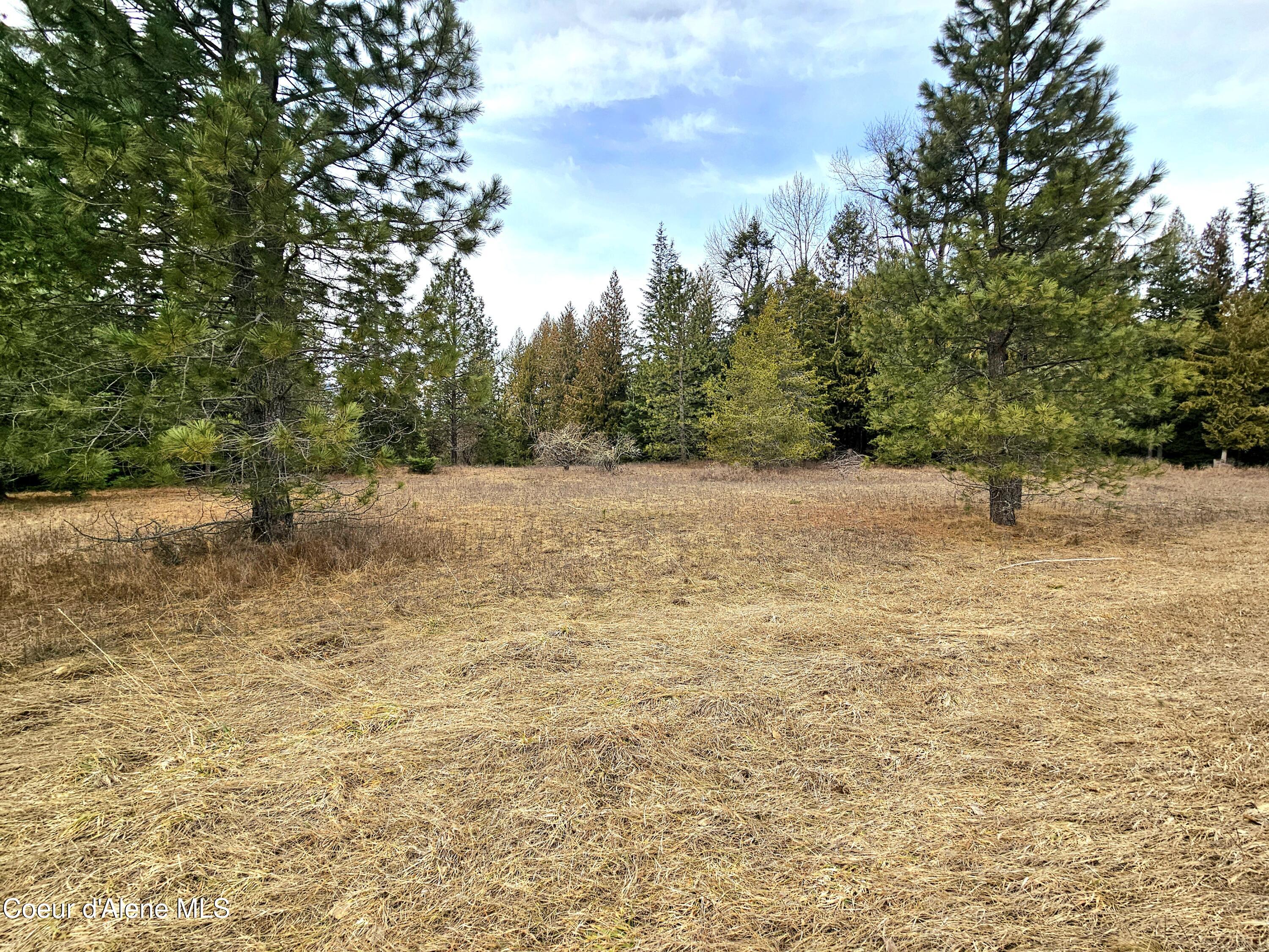 Nna Lightning Creek Road Clark Fork, ID 83811 - Photo 31 of 44 32