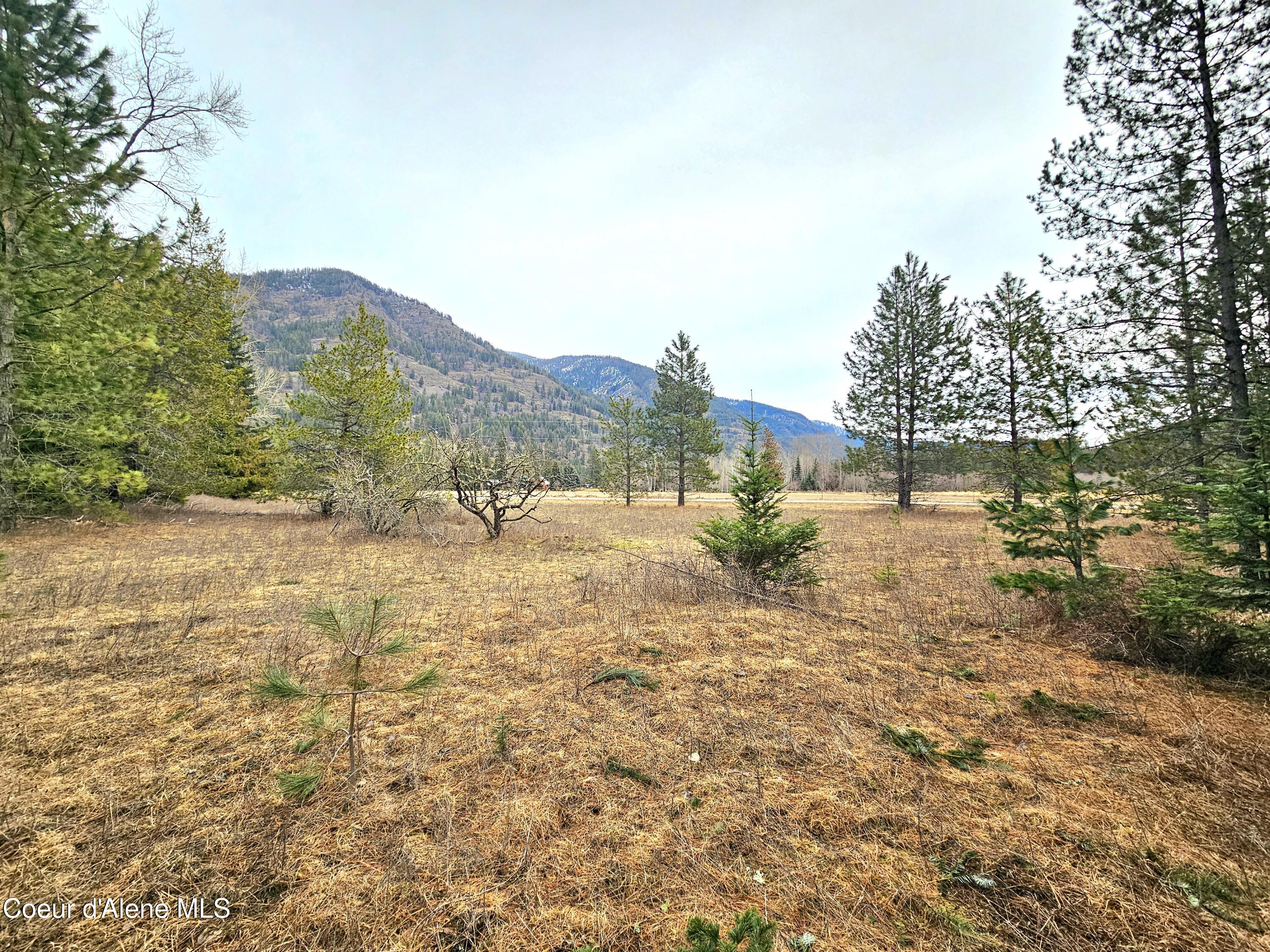 Nna Lightning Creek Road Clark Fork, ID 83811 - Photo 33 of 48 30