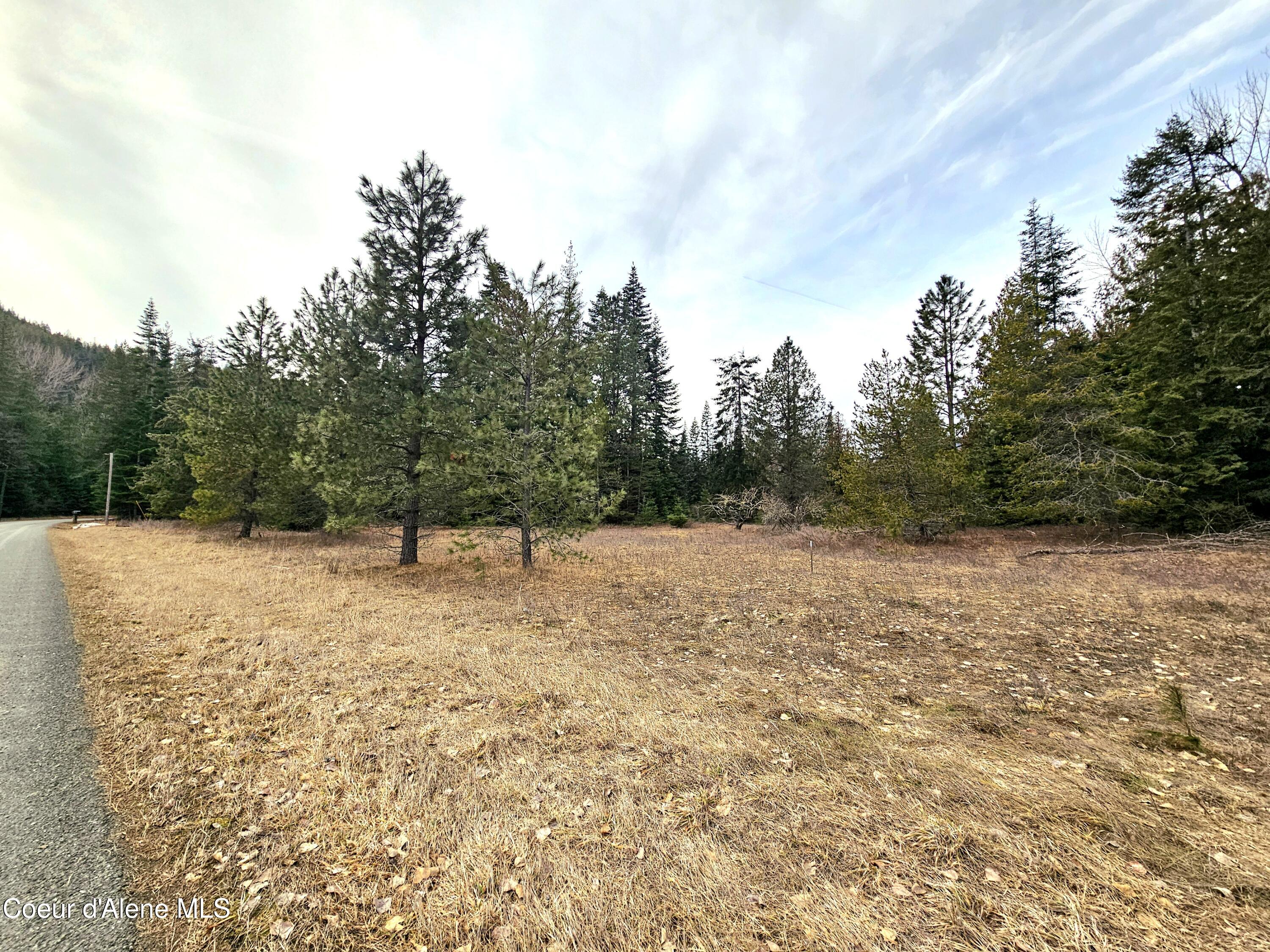 Nna Lightning Creek Road Clark Fork, ID 83811 - Photo 40 of 44 40