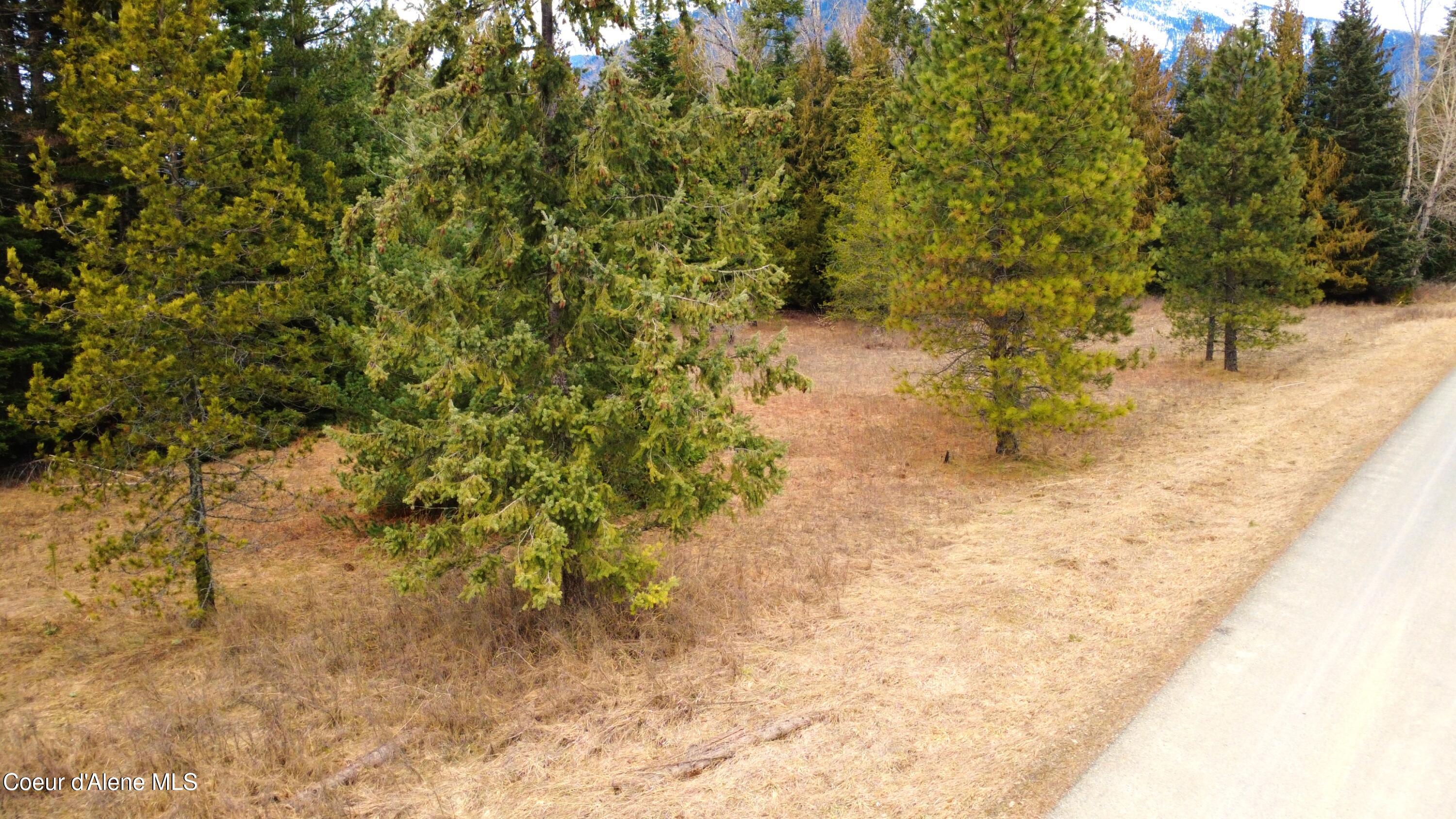 Nna Lightning Creek Road Clark Fork, ID 83811 - Photo 43 of 44 43