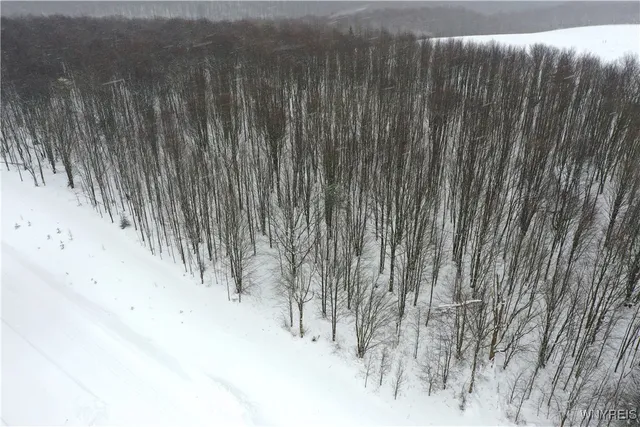 $144,000 | 11 Trail Heights, Ellicottville, NY 14731