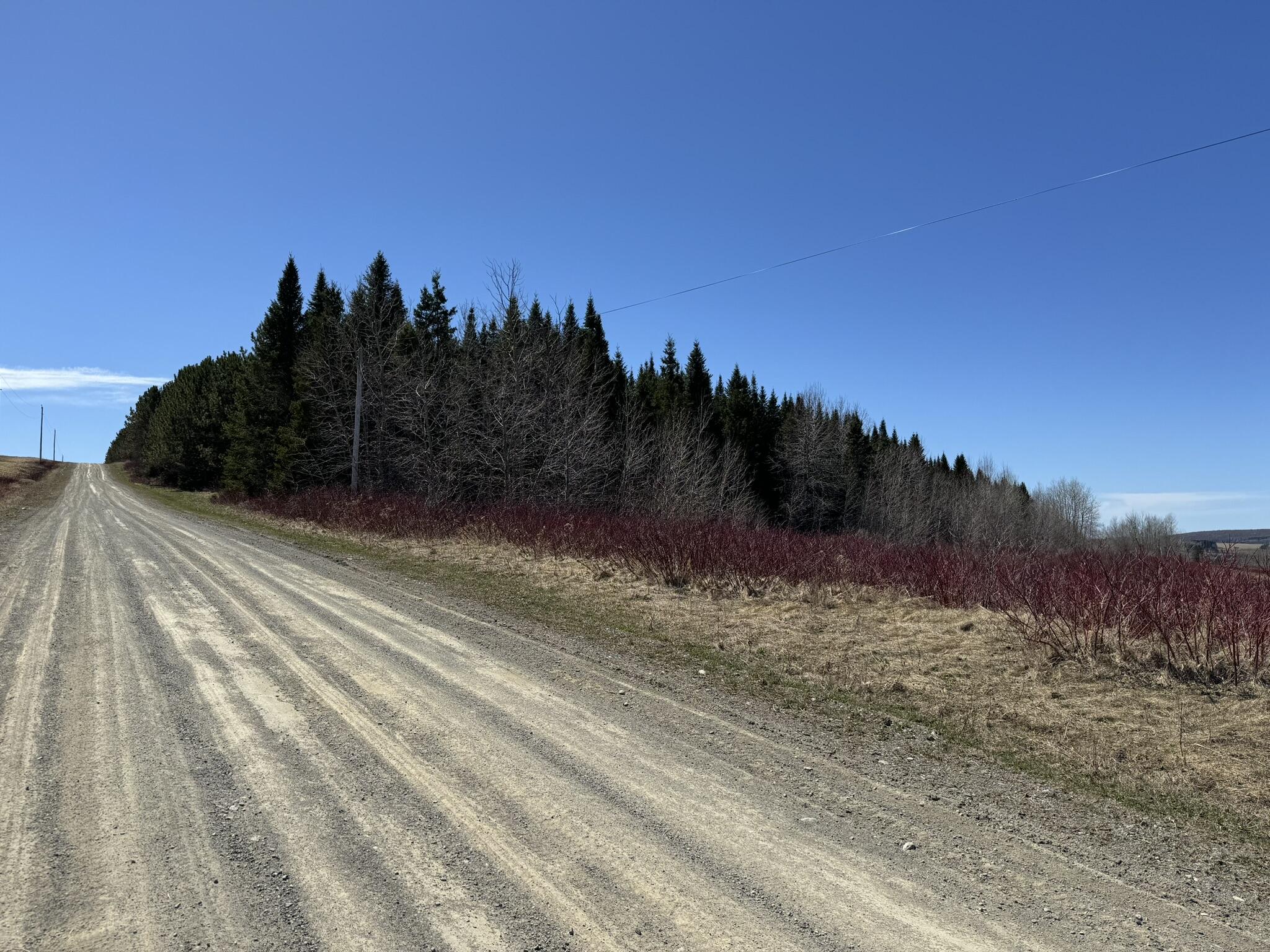 0 Desjardin Road St. David, ME 04773 - Photo 4 of 15 IMG_2273